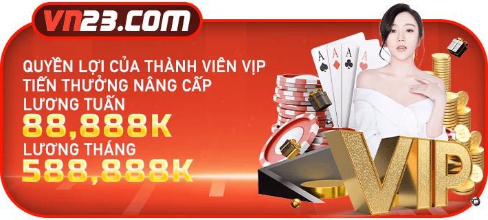 vn23